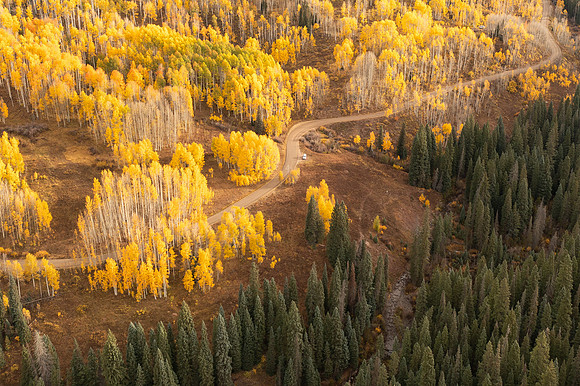Kebler Pass Contrast