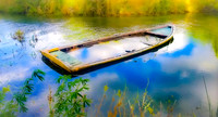 Ship of Fools