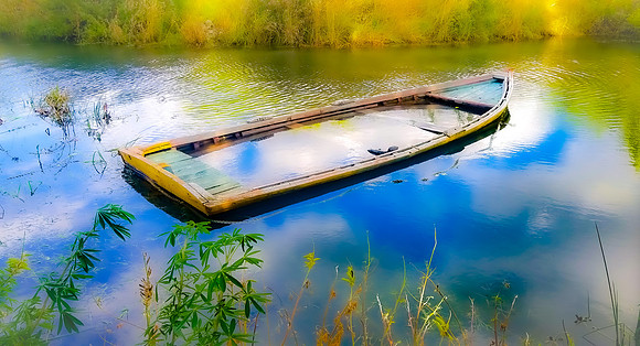 Ship of Fools