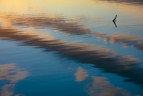 Sky Swimmer