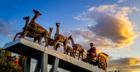 Papa Noel and his Eight Guanacos