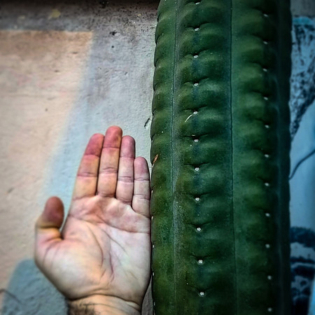 Grasping the Ungraspable