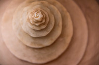 Concentric