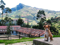 La Guarda (The Guardian)