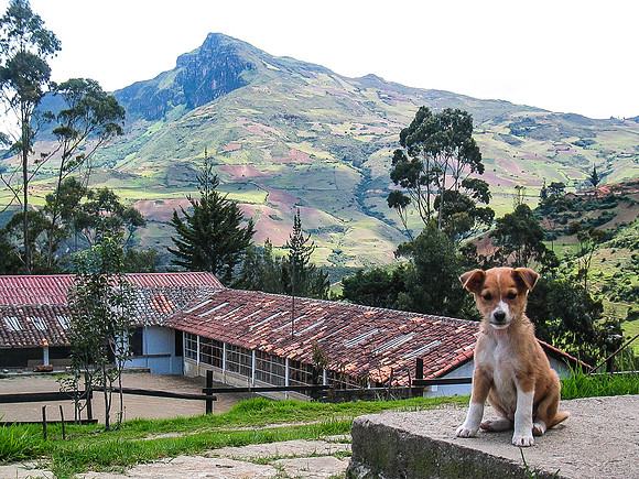 La Guarda (The Guardian)