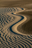 Portrait of a Ripple in the Wind
