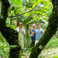 Pura Vida-030029