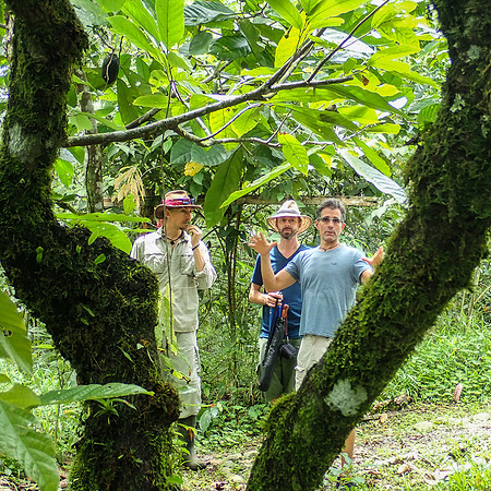 Pura Vida-030029
