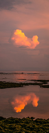 Pura Vida-2239
