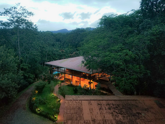 Pura Vida-173632