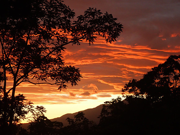 Pura Vida-060195