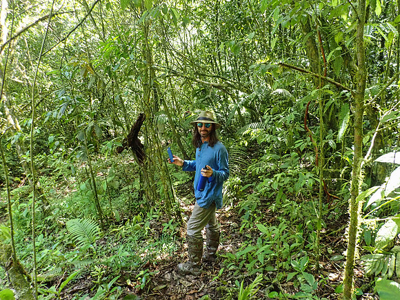 Pura Vida-070222