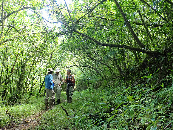 Pura Vida-070218