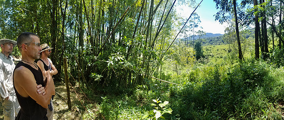 Pura Vida-110045