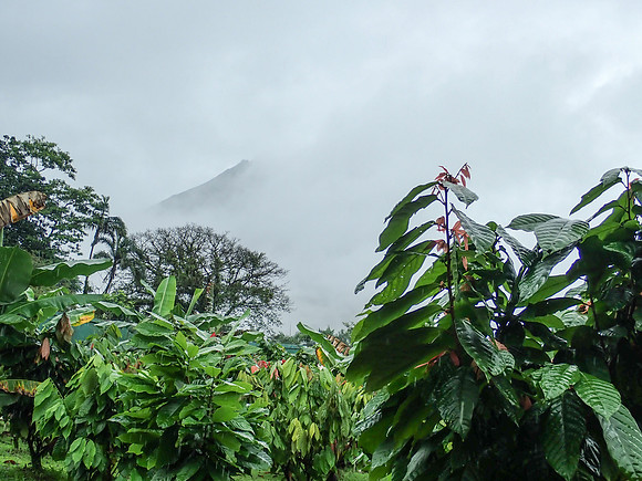Pura Vida-050138