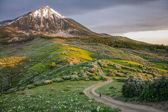 The Road to Lamborn
