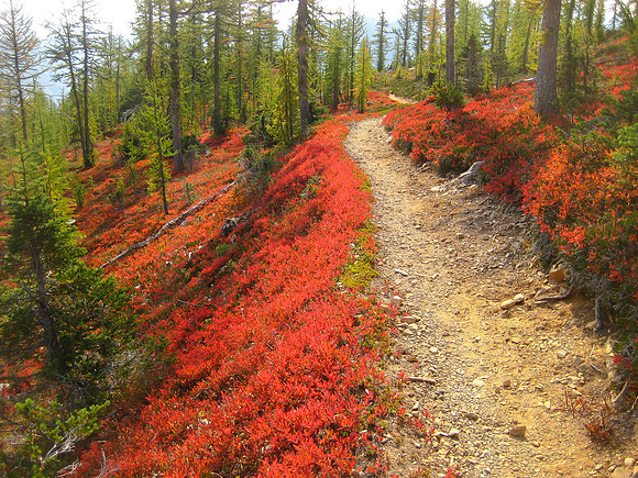 Pacific Crest Trail - Fall Study 2