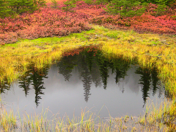 North Cascades Tarn