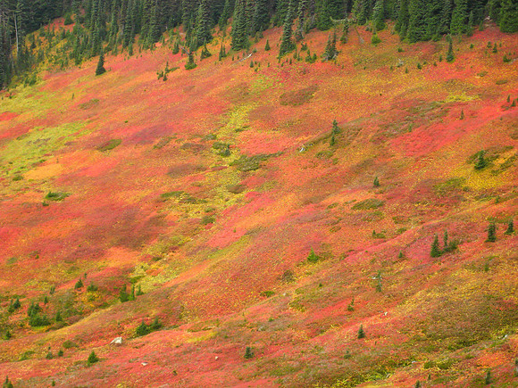 Fall Mountainside - North Cascades