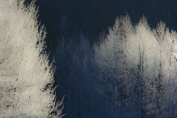 Realm of Icy Diamonds