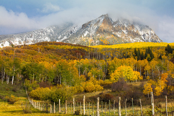 Autumn Fencerow