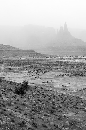 White Rim Road Portrait
