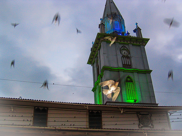 Flight of the Golondrinas