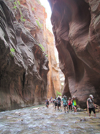 The Narrows-0086