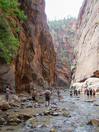 The Narrows-0053