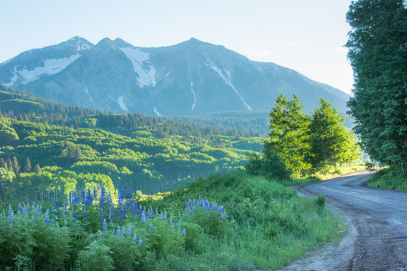 Kebler Pass Road, Early Summer