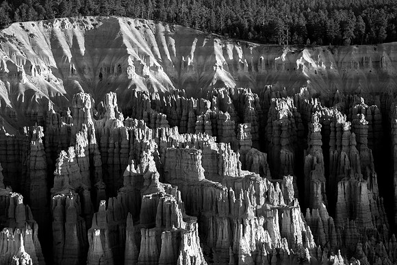 Bryce in Black