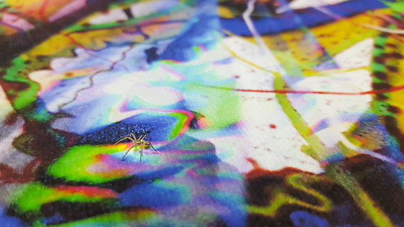 Artistic Arachnid
