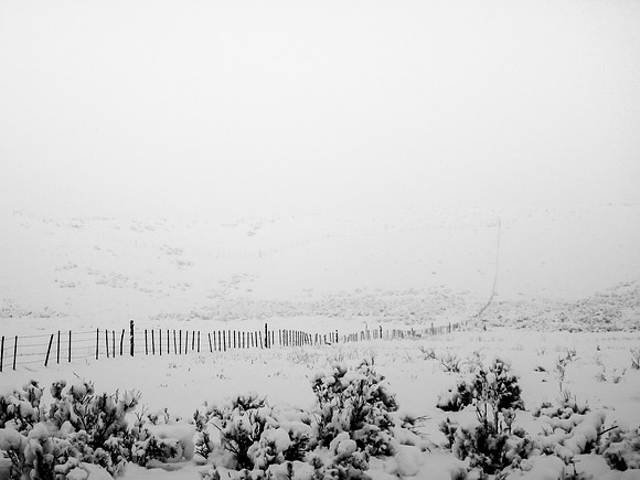 Winter Fence