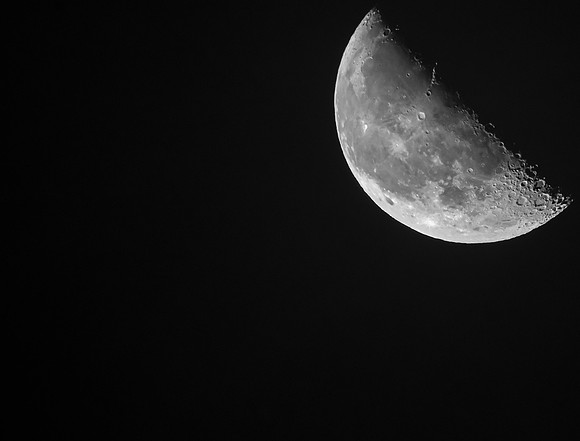 Halfmün