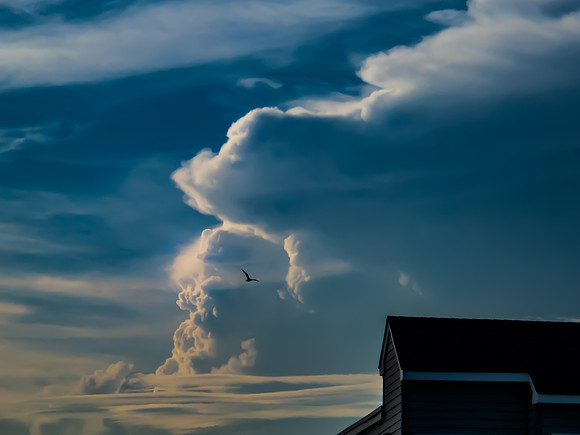 Above the Boardwalk