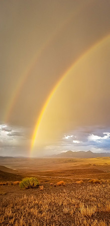 Double Rainbow Portrait