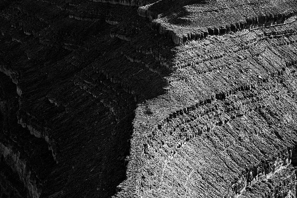 Goosenecks Study in Monochrome