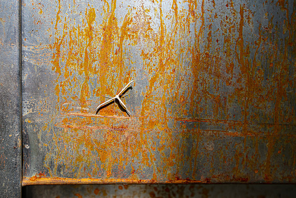 Rusty
