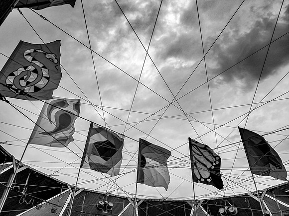 Center Camp Monochrome