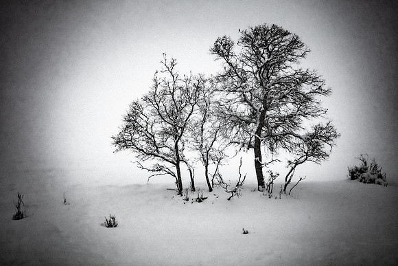 Gritty Winter in the Valley