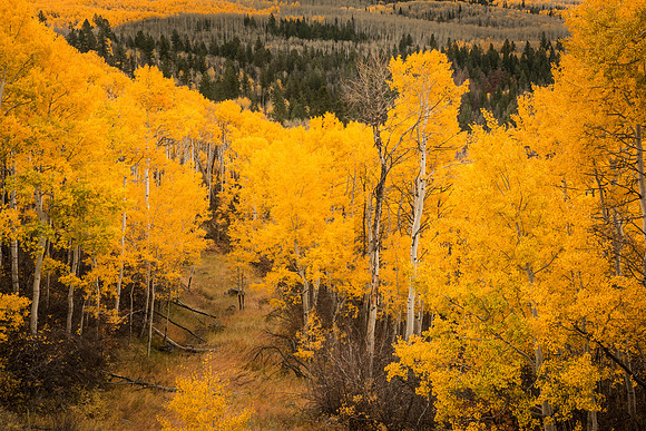 Below McClure Pass