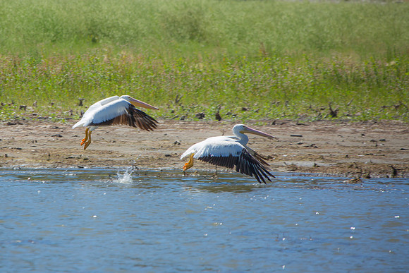 Landing Gear