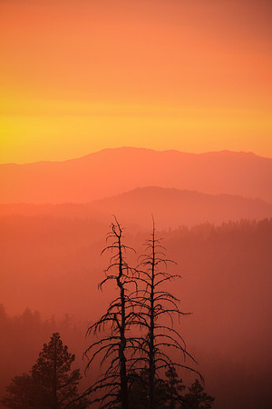 Foothills on Fire