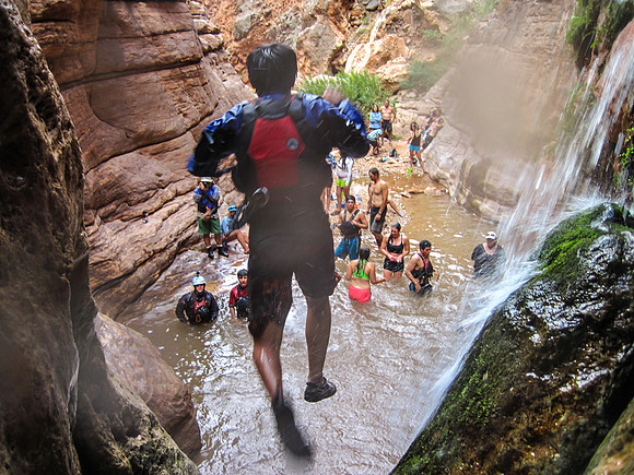 Taking the Plunge