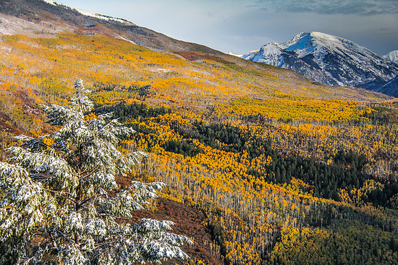 Across the Crystal River Valley